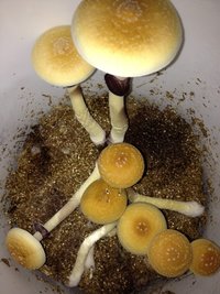 2013-10-27 19.56.54.jpg