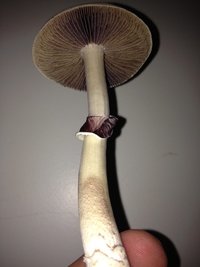 2013-10-27 19.57.50.jpg