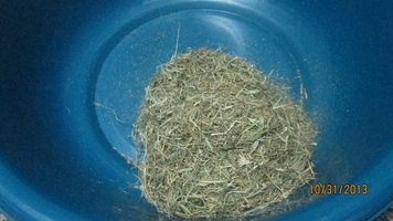 IMG_2116.jpg