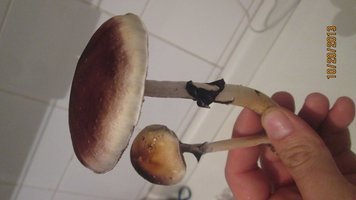 IMG_2023.jpg