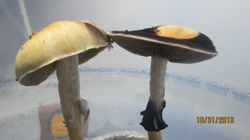 IMG_2127.jpg