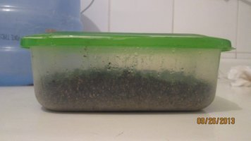 IMG_1694.jpg
