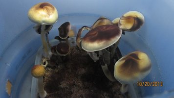 IMG_2019.jpg