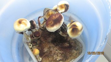 IMG_2020.jpg