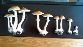 131102_230303.jpg