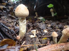 DSC04075.JPG