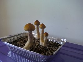 131106_210604.jpg