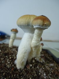 DSC04288.JPG