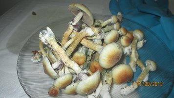 IMG_2164.jpg