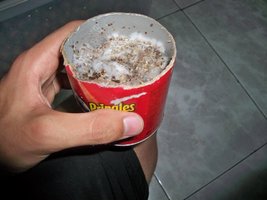 100_8842.JPG