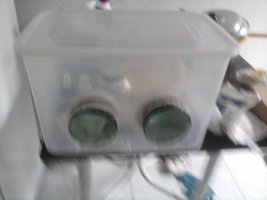 CAM00039.jpg