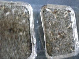 CAM00086.jpg