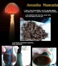 RECEITA4.jpg