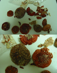 AMANITAS SECOS E DE QUALIDADE.jpg