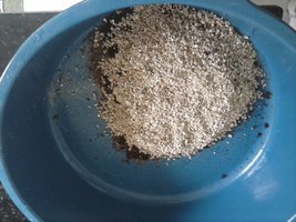 CAM00118.jpg