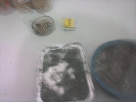 CAM00133.jpg