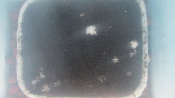 IMG_2204.jpg