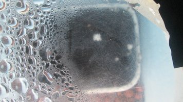 IMG_2203.jpg