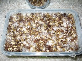 IMG_1972.JPG