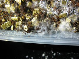 IMG_1976.JPG