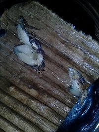IMG_20131118_154429.jpg