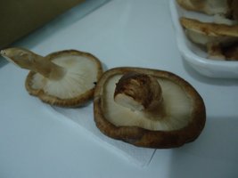 DSC04430.JPG