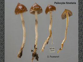198432305-qw.jpg