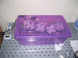 100_9679.JPG