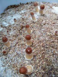100_8904.JPG