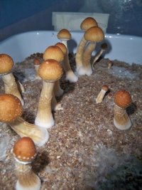 100_8925.JPG