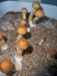 100_8927.JPG