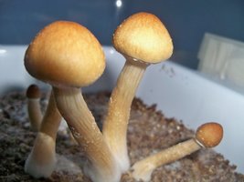 100_8930.JPG
