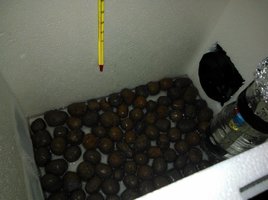 WP_000101.jpg