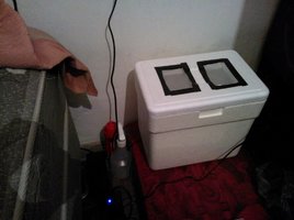 WP_000103.jpg