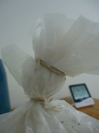 DSC04504.JPG