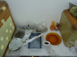 DSC04534.JPG