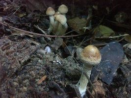 2013-11-15 16.44.56.jpg