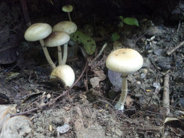 2013-11-17 15.42.49.jpg