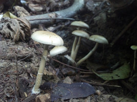 2013-11-17 15.43.31.jpg