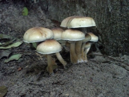 2013-11-18 16.31.45.jpg