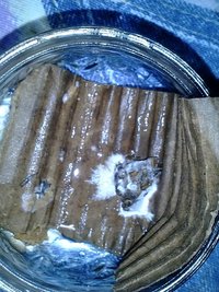 IMG_20131124_060812.jpg