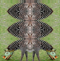 kk8300_larrycarlson.png kk8300_larrycarlson.png