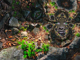 _330_larrycarlson4.png _330_larrycarlson4.png