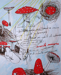 amanitas.png