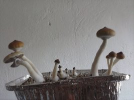 CAM00165.jpg