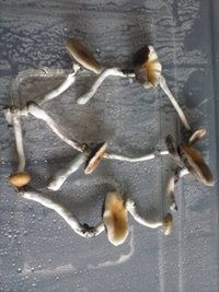 CAM00173.jpg