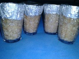 IMG_20131126_170548.jpg