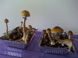 131126_194101.jpg