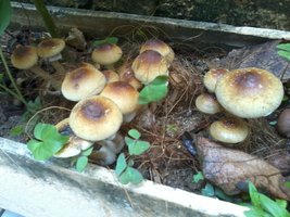 2013-11-27 07.39.09.jpg