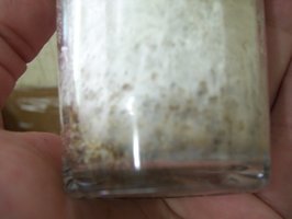 100_9805.JPG